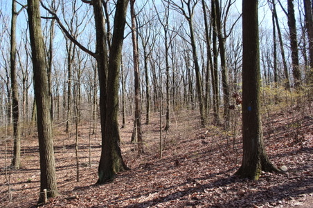 Enlarge photo 25