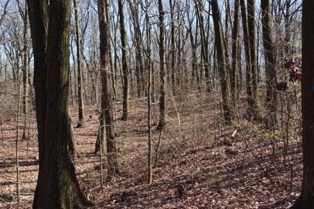 Enlarge photo 26