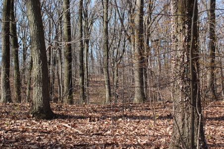 Enlarge photo 27
