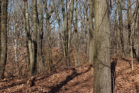 Enlarge photo 28