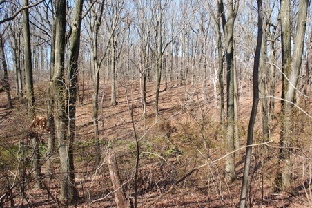 Enlarge photo 29