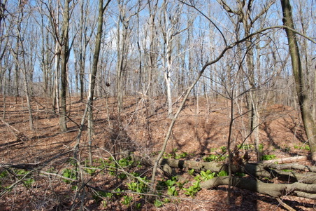 Enlarge photo 30