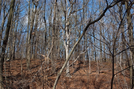 Enlarge photo 31