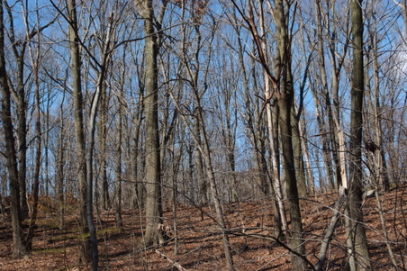 Enlarge photo 32