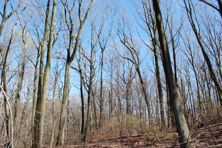 Enlarge photo 33