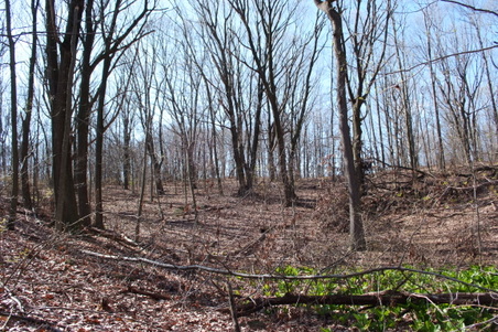 Enlarge photo 34