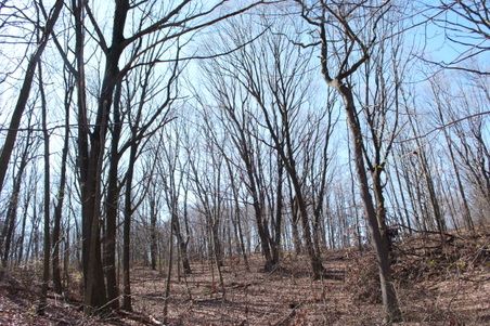 Enlarge photo 35