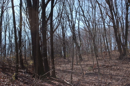 Enlarge photo 36