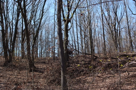 Enlarge photo 37