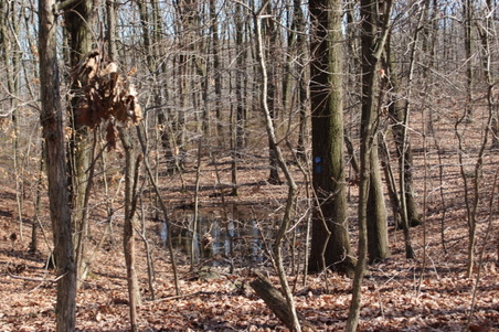 Enlarge photo 38