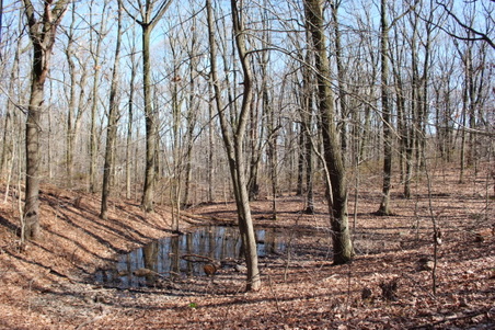 Enlarge photo 39