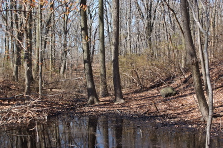 Enlarge photo 41