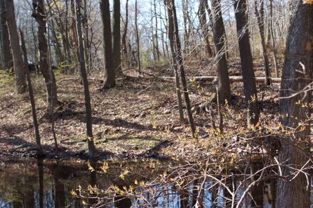 Enlarge photo 42