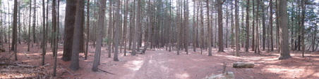 Prosser Pines Nature Preserve
