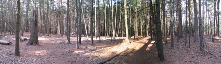 Enlarge photo 2