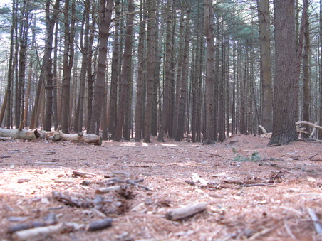 Enlarge photo 12
