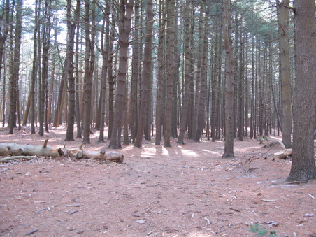 Enlarge photo 13