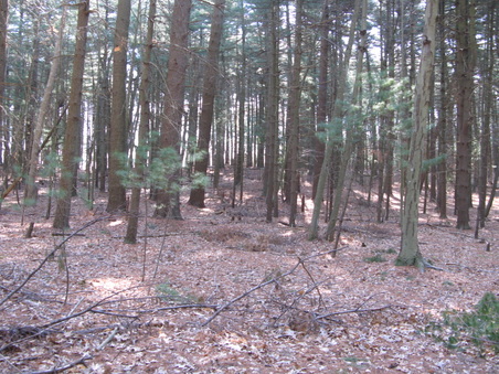 Enlarge photo 16