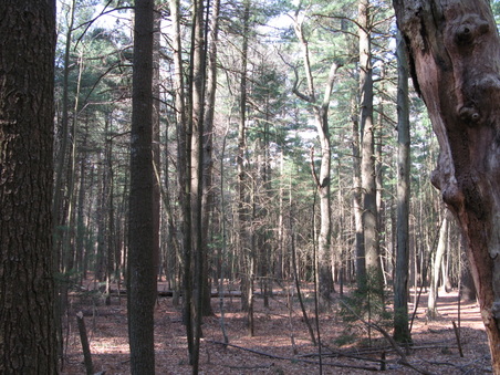 Enlarge photo 18