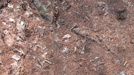 Enlarge photo 19