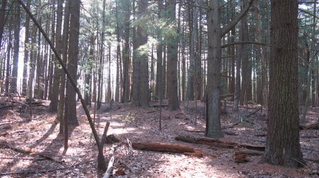 Enlarge photo 20