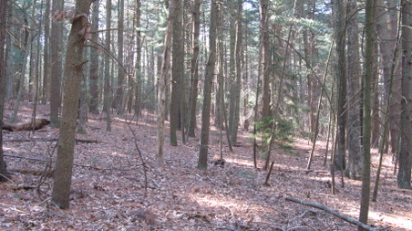 Enlarge photo 21