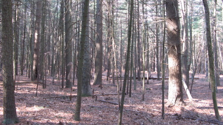 Enlarge photo 22