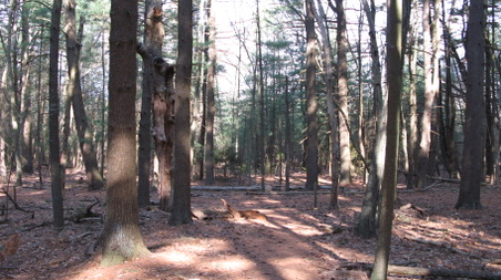 Enlarge photo 23
