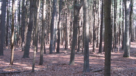 Enlarge photo 24