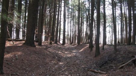 Enlarge photo 26