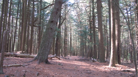 Enlarge photo 27