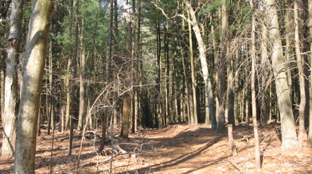 Enlarge photo 29