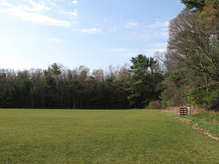 Enlarge photo 32