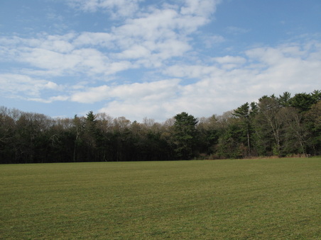 Enlarge photo 33