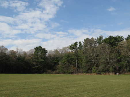 Enlarge photo 34