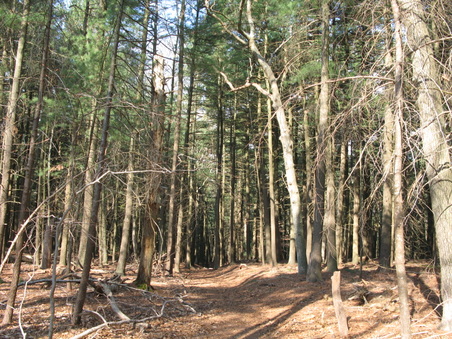 Enlarge photo 36