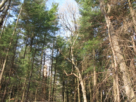 Enlarge photo 37