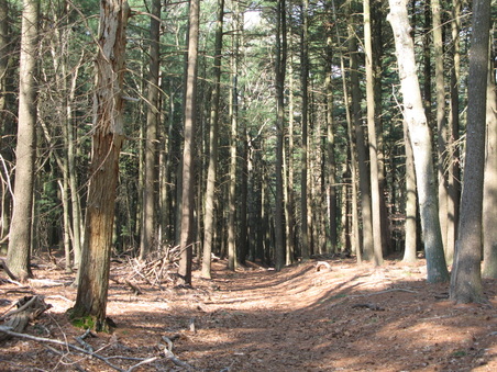 Enlarge photo 39