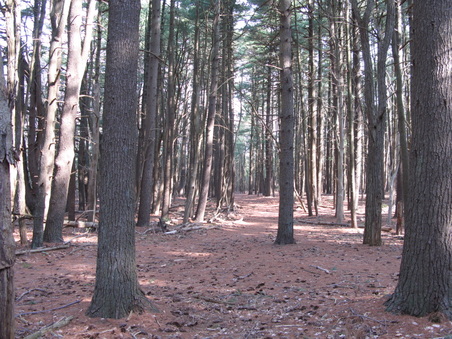 Enlarge photo 40