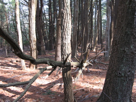 Enlarge photo 43