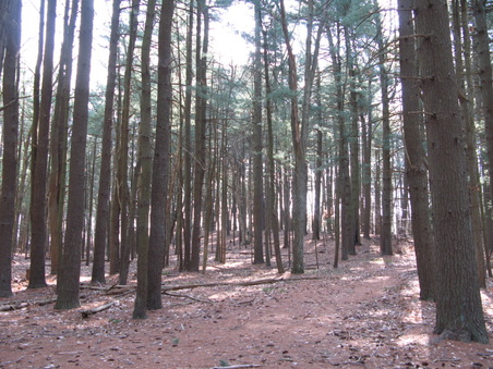 Enlarge photo 44