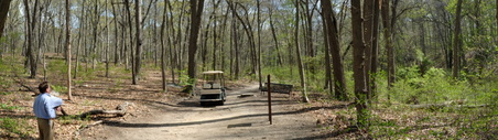 Planting Fields- Sands Point Forest