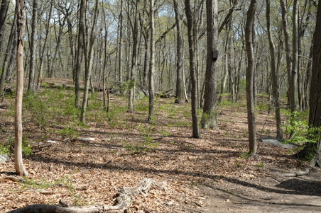 Enlarge photo 3