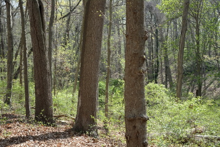 Enlarge photo 4