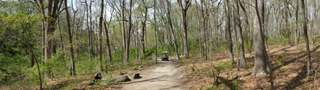 Enlarge photo 5