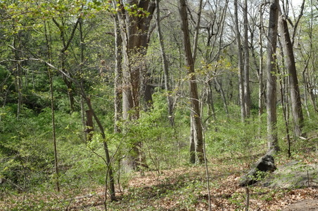 Enlarge photo 7
