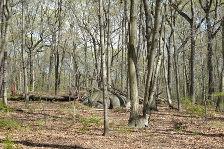 Enlarge photo 9