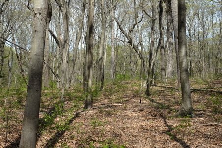 Enlarge photo 10