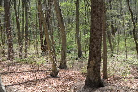 Enlarge photo 12