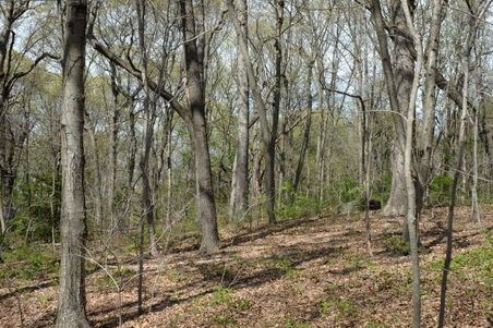 Enlarge photo 13